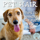 Illustration for article titled How to Control Dog and Cat Hairs in the House ?